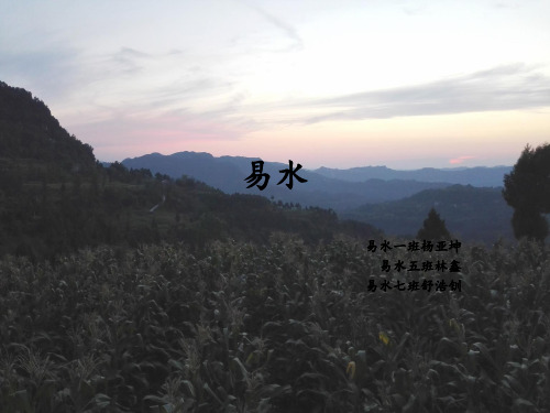 中医各家学说—易水学派