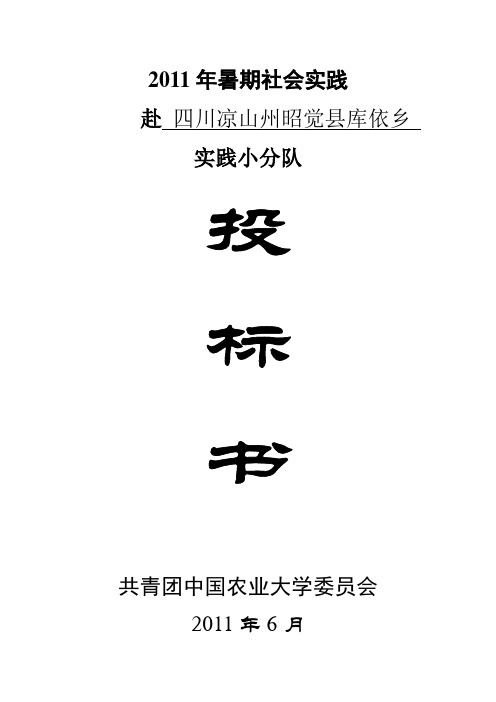 社会实践投标书说课讲解