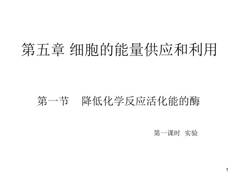 比较过氧化氢在不同条件下的分解 ppt课件