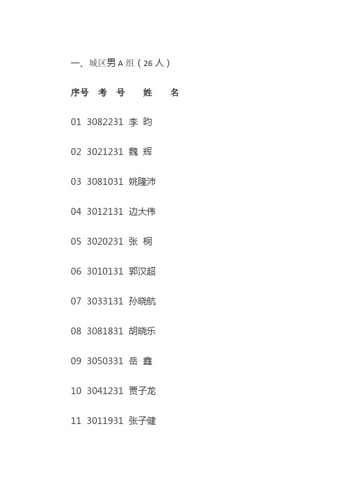 城区男A组26人