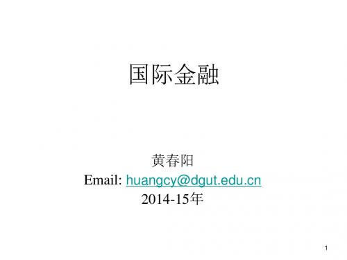 国际金融(2014) (1)