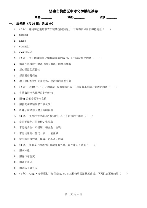 济南市槐荫区中考化学模拟试卷