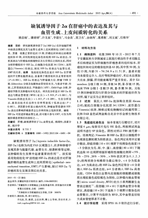 缺氧诱导因子2α在肝癌中的表达及其与血管生成、上皮间质转化的关系