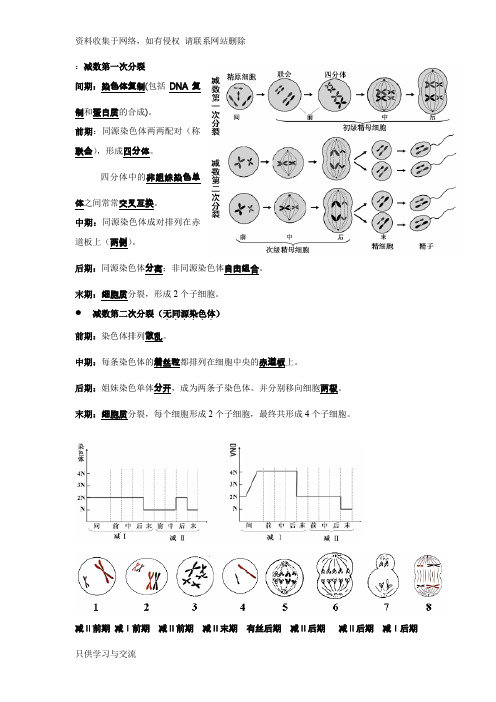 高中生物减数分裂知识点总结