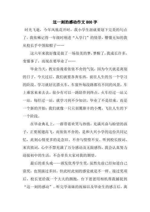 这一刻的感动作文800字