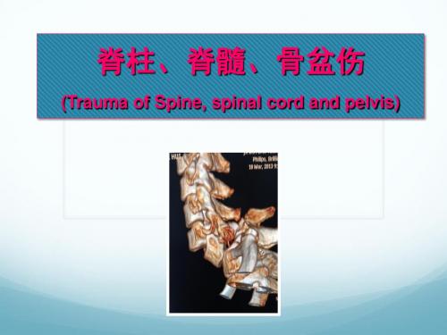 脊柱、脊髓、骨盆伤 (Trauma of Spine, spinal cord and pelvis)