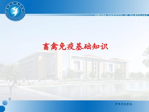 畜禽免疫基础知识