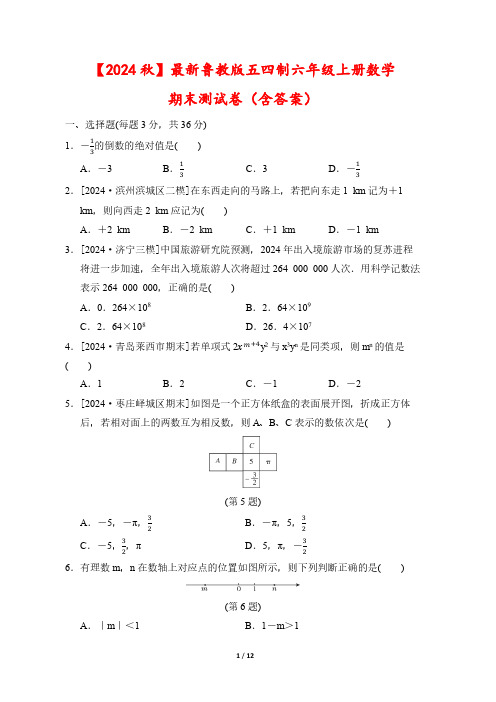 【2024秋】最新鲁教版五四制六年级上册数学期末测试卷(含答案)