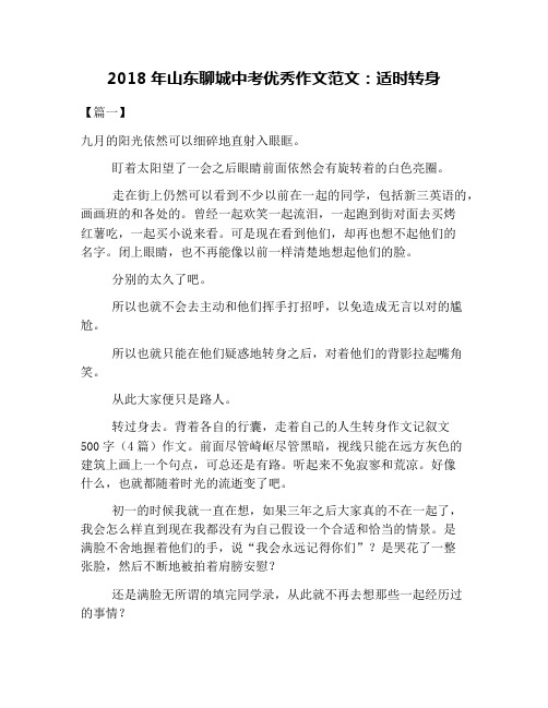 2018年山东聊城中考优秀作文范文：适时转身