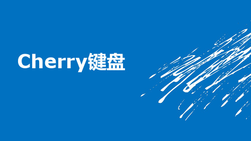 cherry 樱桃键盘介绍