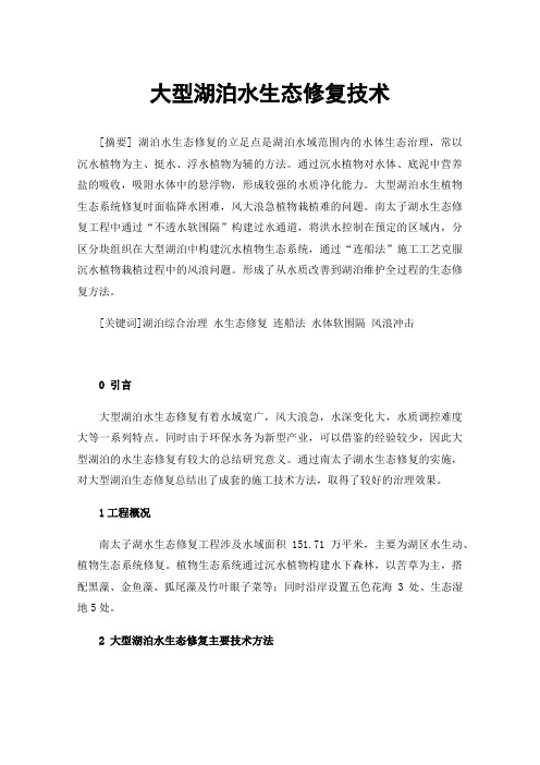 大型湖泊水生态修复技术