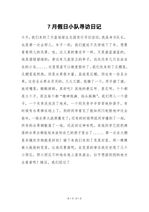 7月假日小队寻访日记_初二作文