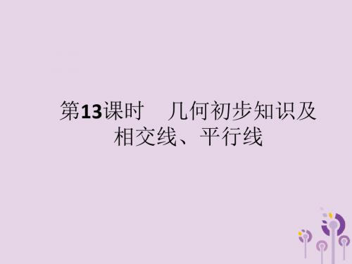 中考数学总复习 第四章 几何初步知识与三角形 第13课