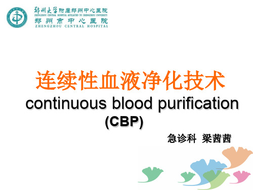CBP(医疗简易版)-梁茜茜
