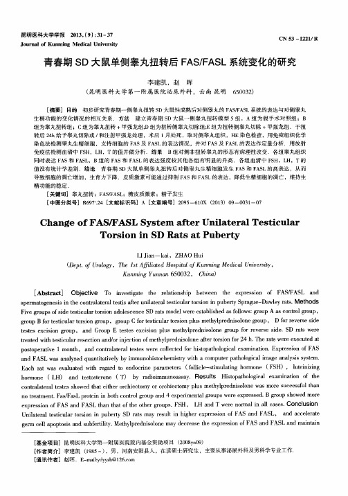青春期SD大鼠单侧睾丸扭转后FAS／FASL系统变化的研究
