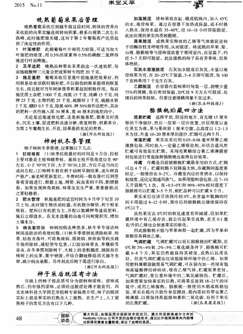 猕猴桃贮藏四方法
