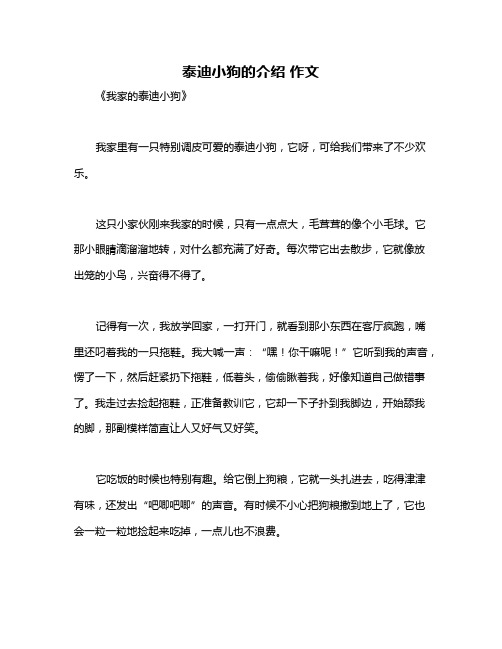 泰迪小狗的介绍 作文