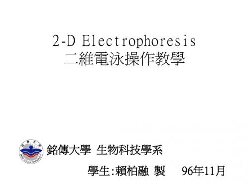 双向电泳(2-D Electrophoresis)