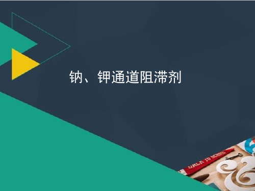 钠、钾通道阻滞剂