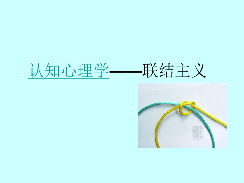 联结主义课件