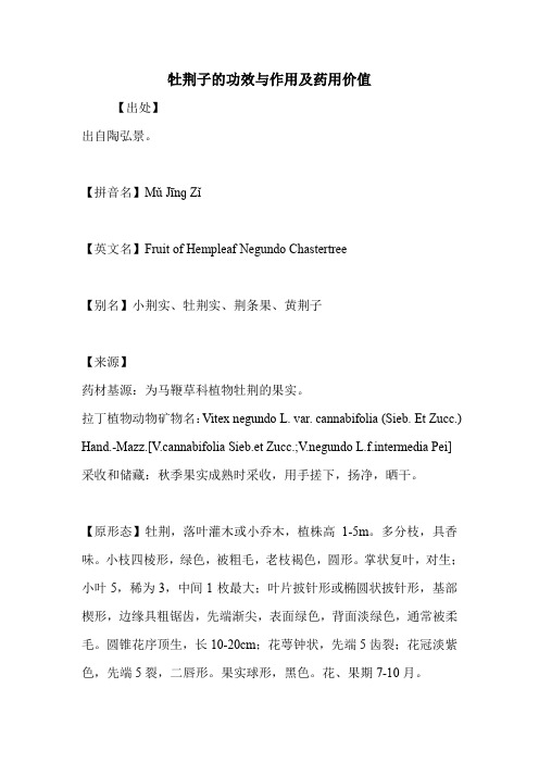 牡荆子的功效与作用及药用价值