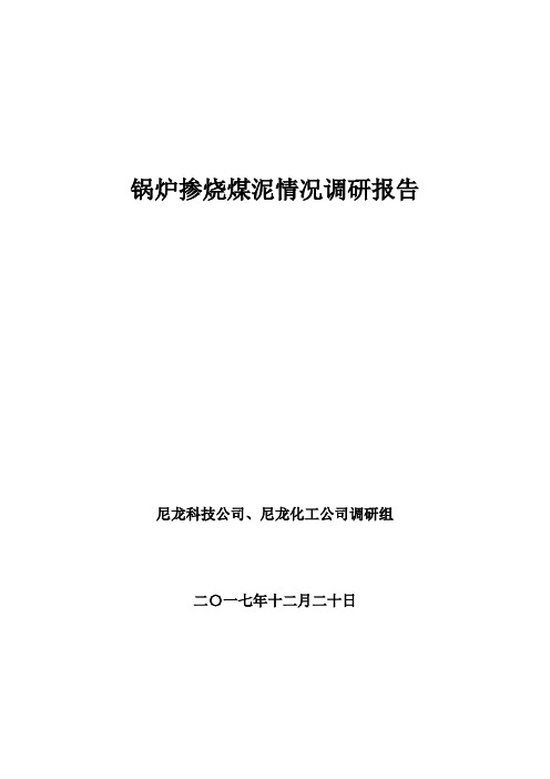 锅炉掺烧煤泥情况调研报告