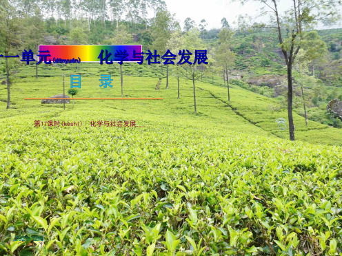 中考化学教材化总复习 第十一单元 化学与社会发展课件 