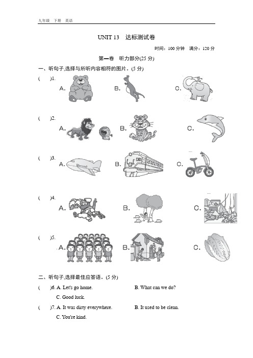 2020春人教版九年级英语下册 Unit 13 UNIT 13 达标测试卷