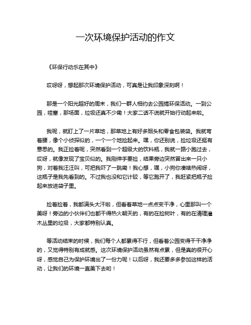 一次环境保护活动的作文