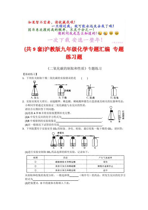 (共9套)沪教版九年级化学专题汇编 专题练习题