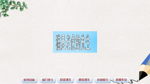 【推荐】最新版三年级语文上册《猫是老虎的先生》课件2