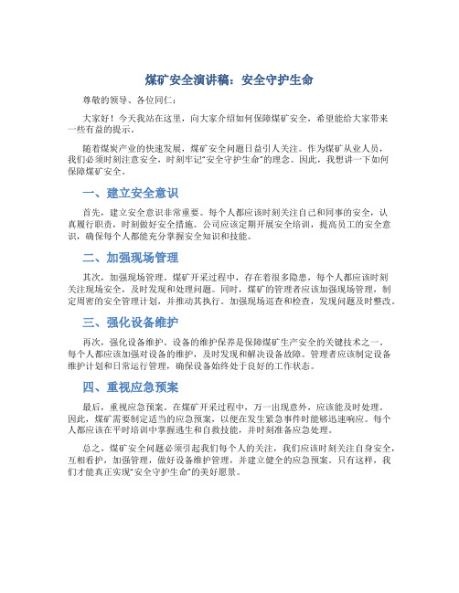煤矿安全演讲稿：安全守护生命