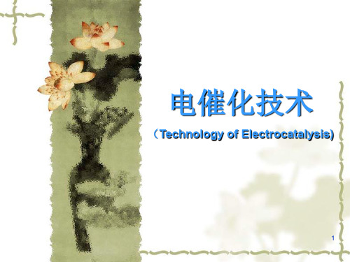 电催化氧化技术ppt课件