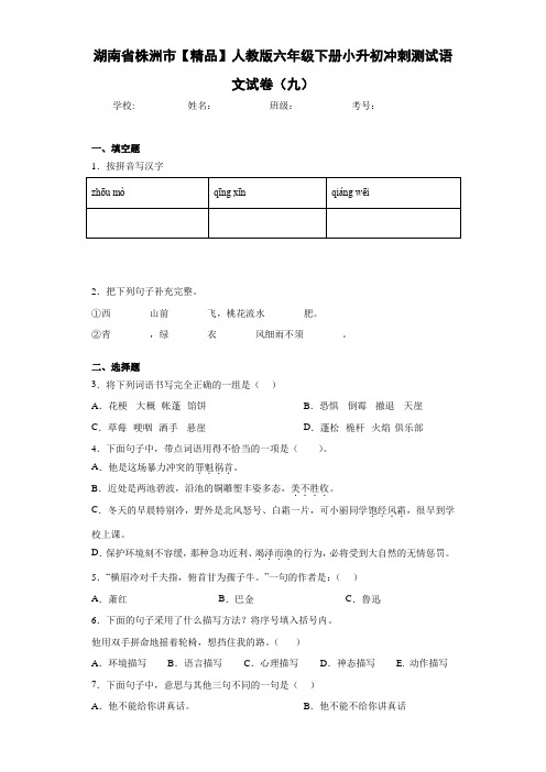 人教版六年级下册小升初冲刺测试语文试卷(九)(含答案解析)