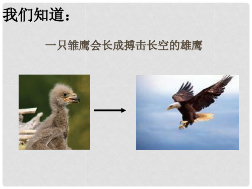 七年级生物上册 第三章 第三节 细胞分裂和分化课件 (新版)苏教版