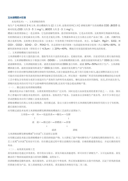 玉米废水  Doc1