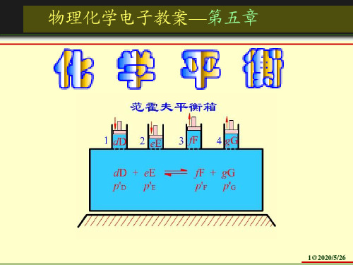 6物化-第五章 化学平衡