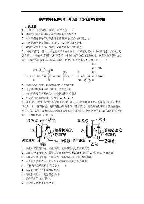 威海市高中生物必修一测试题 非选择题专项附答案