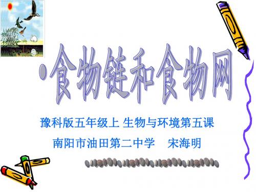 五年级上册《食物链和食物网》课件