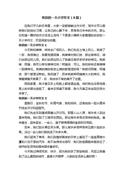 收获的一天小学作文（6篇）