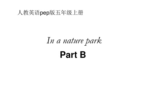 人民教育出版社pep版小学五年级英语上册In a nature park