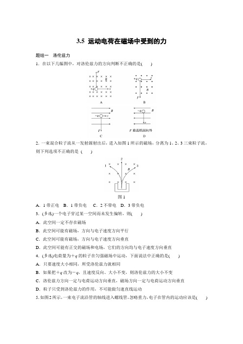 课时作业6：3.5 运动电荷在磁场中受到的力