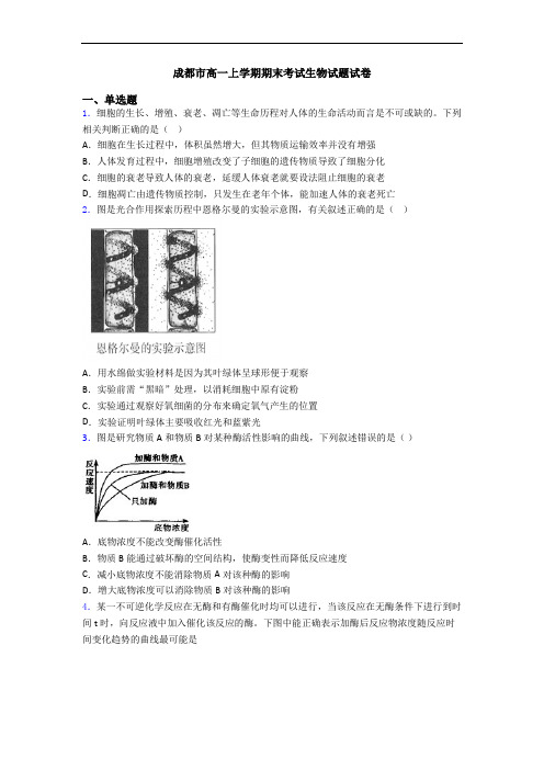 成都市高一上学期期末考试生物试题试卷
