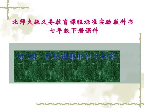 昂扬进取的社会风貌ppt2 北师大版