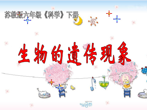 六年级下册科学_生物的遗传现象苏教版(19张)精品课件