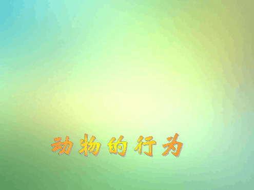 济南版七年级上册第四节动物的行为1