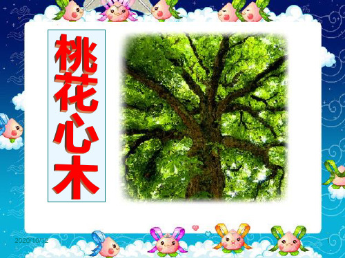 人教版小学六年级下册语文桃花心木教学PPT教学课件
