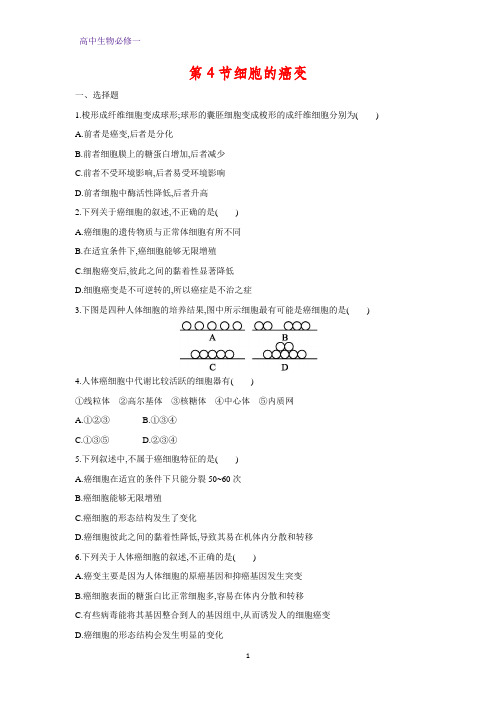 高中生物必修1课时作业5：6.3 细胞的癌变