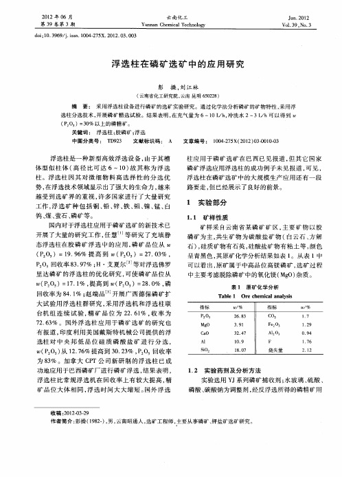 浮选柱在磷矿选矿中的应用研究