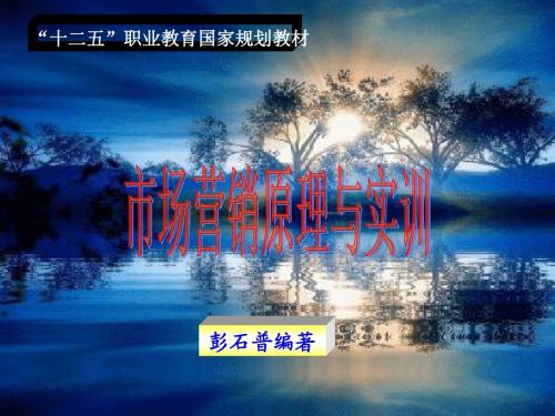 市场营销原理与实训(第三版)项目九